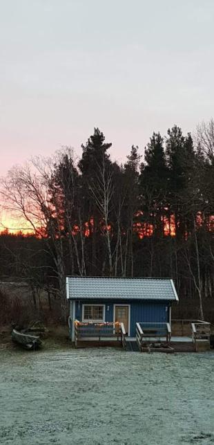 Lussebo 9 Villa Lidköping Dış mekan fotoğraf